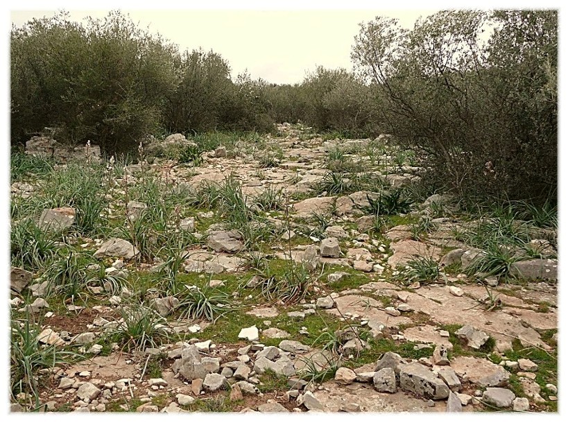 Le Steppe del Gargano